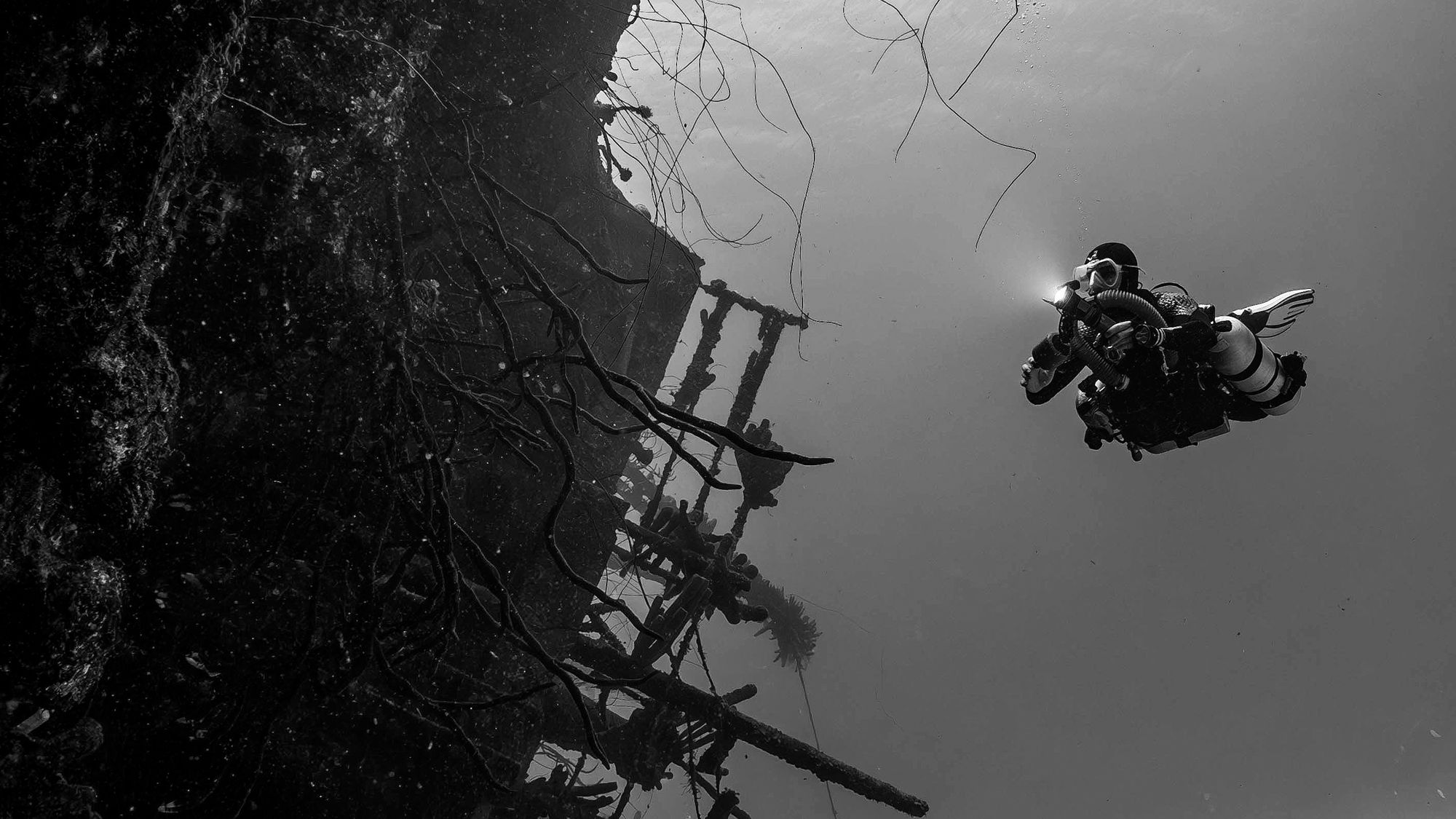Diver underwater - Black Flag Dive Co.